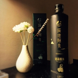 不諾麗，無生活。